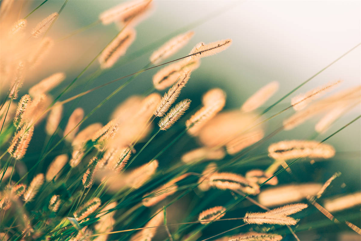 發(fā)改委：全國(guó)實(shí)行峰谷電價(jià) 空氣能采暖優(yōu)勢(shì)明顯