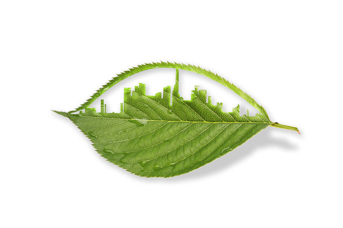 空氣能花棚溫室采暖新技術(shù)的應(yīng)用