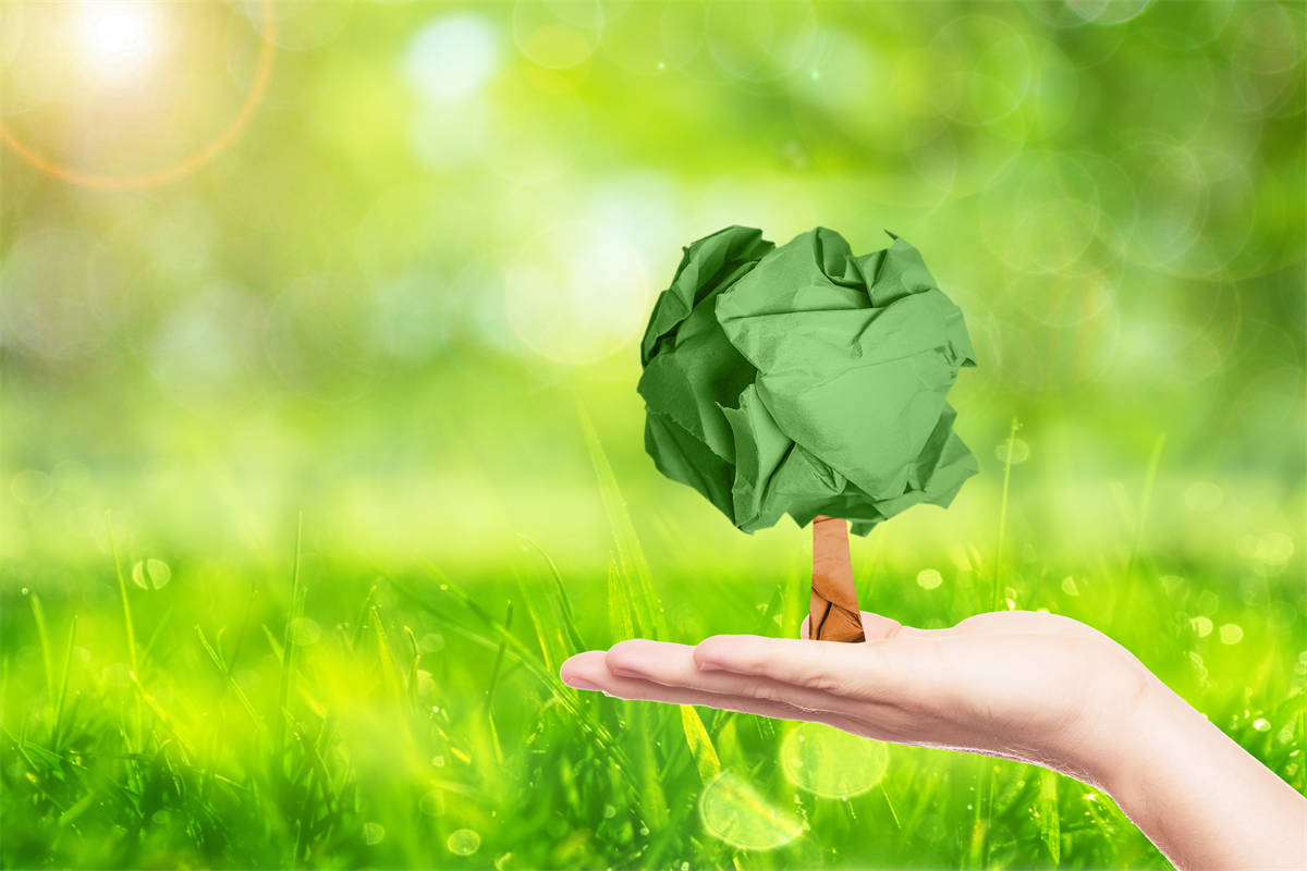 我國華中地區(qū)鋸末烘干機行業(yè)市場發(fā)展現(xiàn)狀