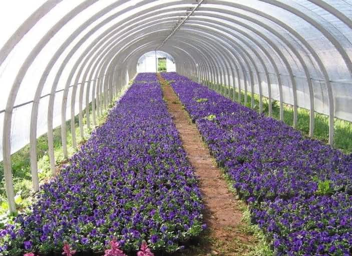 空氣源熱泵供暖效果驚人，花卉溫室節(jié)能30-40%